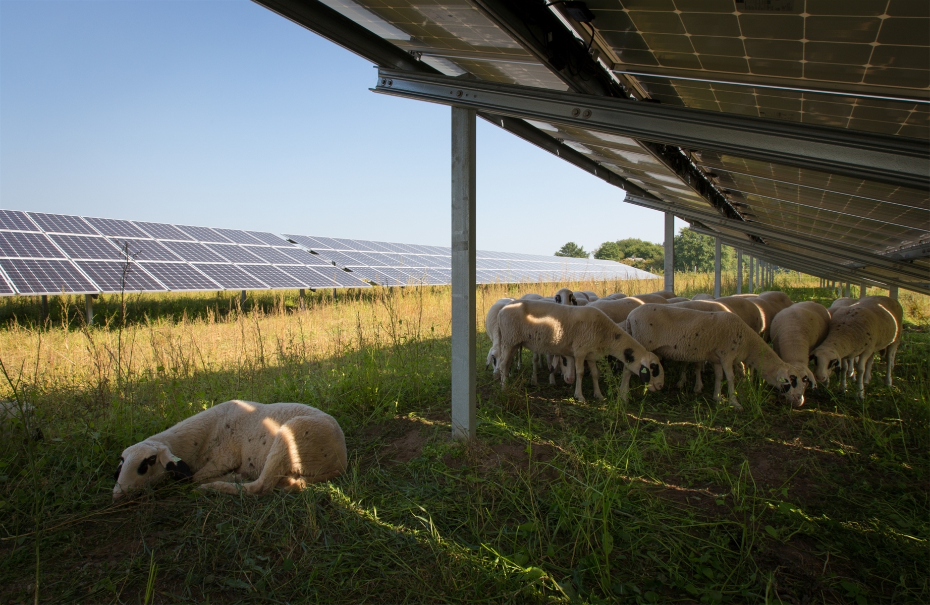 Energietransitie (RES) leeft binnen de VVD!Â