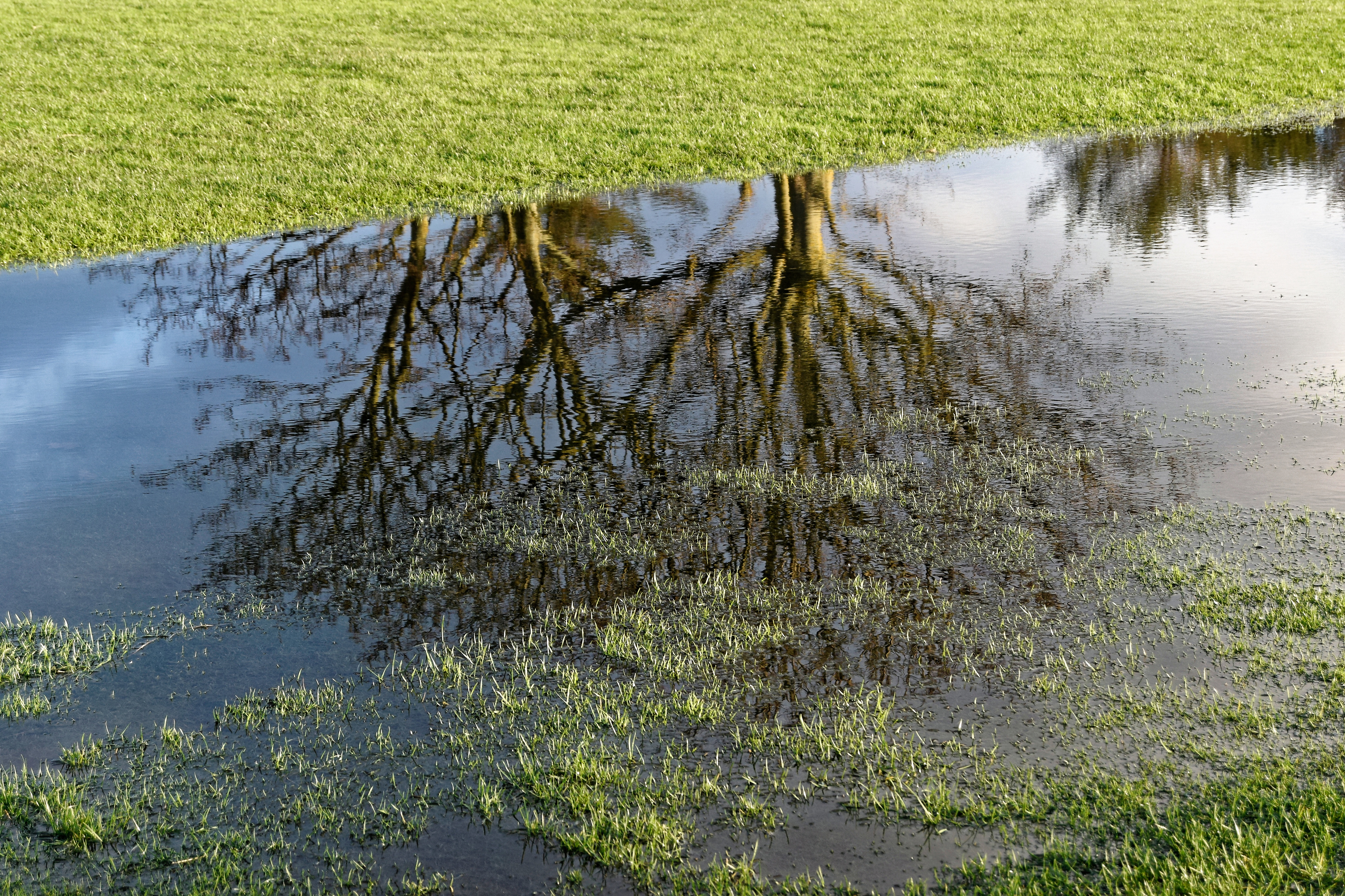 Waarom Waterschap?
