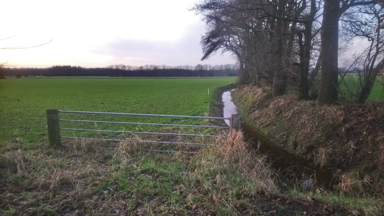 Waar je kunt genieten van de natuur