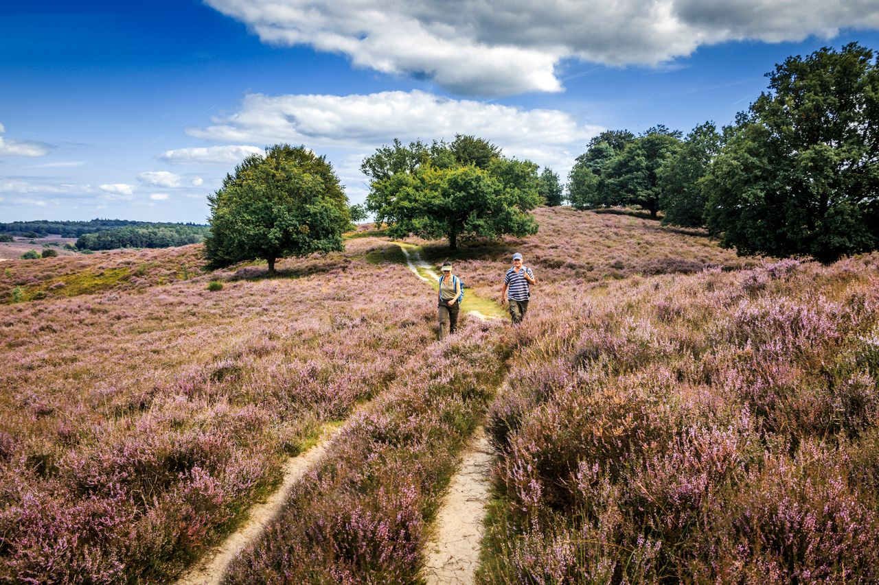 Gebiedsagenda en recreatie op de Veluwe